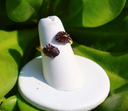 SUN-KISSED 'OPIHI 'AWA RING