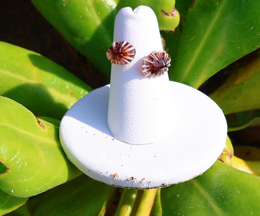 WHITE STRIPE 'OPIHI 'AWA RING