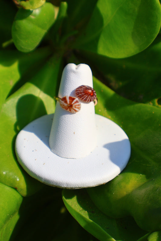 RED-EYE 'OPIHI 'AWA RING