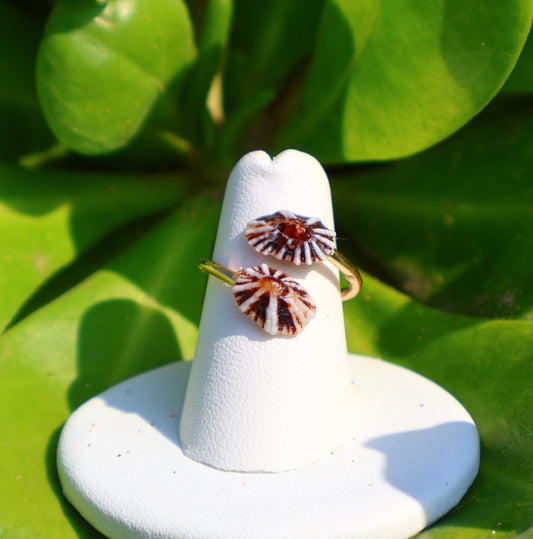 TWIN 'OPIHI 'AWA RING