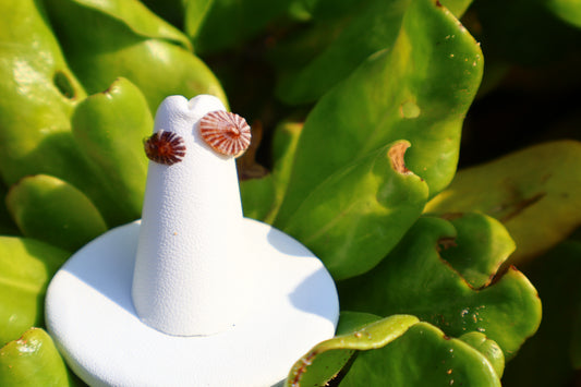 KEIKIS 'OPIHI 'AWA RING